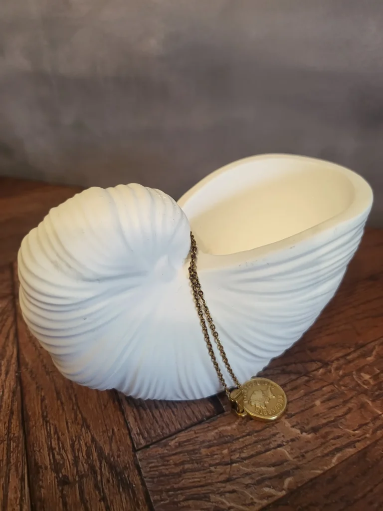 Curled Conch Shell Pot