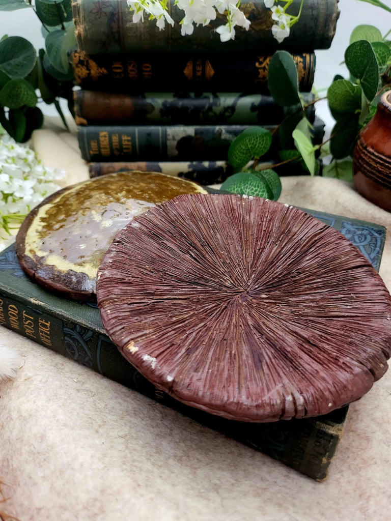mushroom print dish